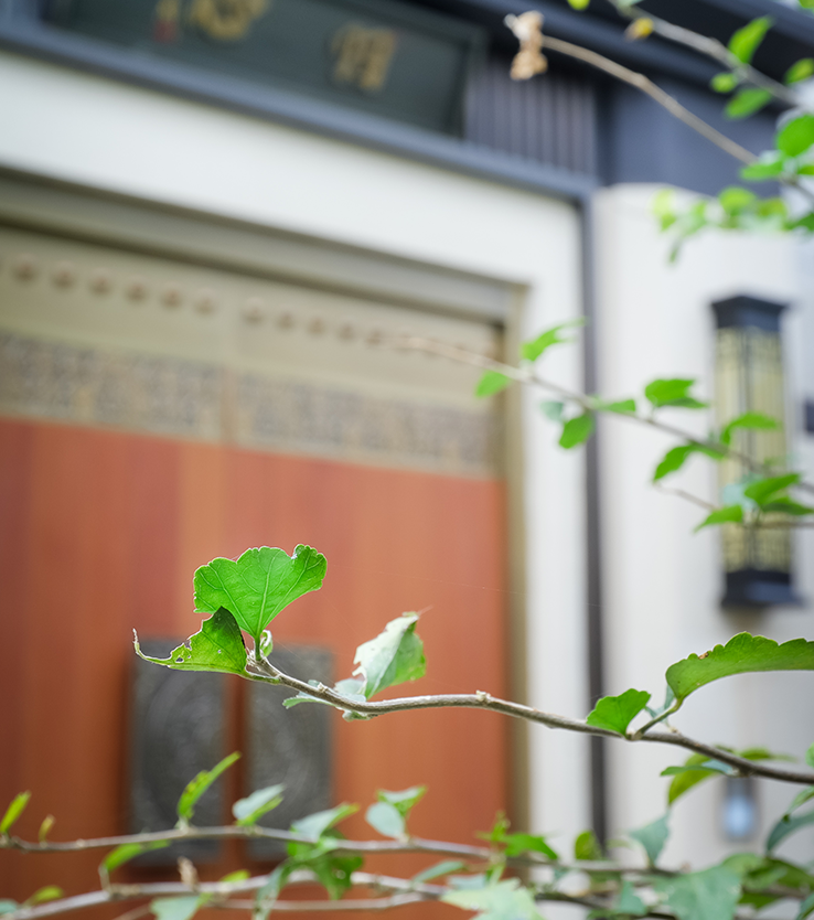 2024新澳门原料大全1688